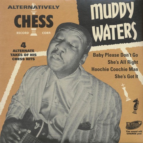 Muddy waters alternatively - muddy,